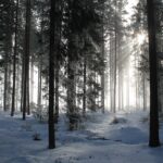 Syv grunde til at du vil komme til at elske plakatramme